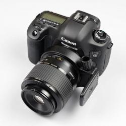 Лучшие macro объективы Canon