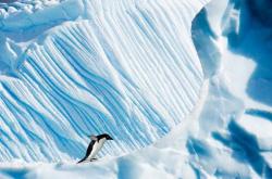 Как Google сфотографировал Антарктику